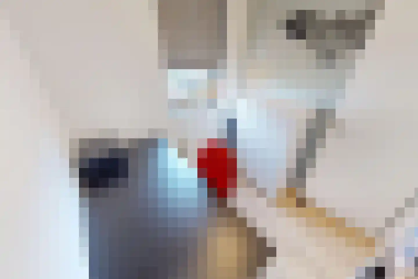 Tuinfluiter 19 Hoogkarspel thumbnail 36