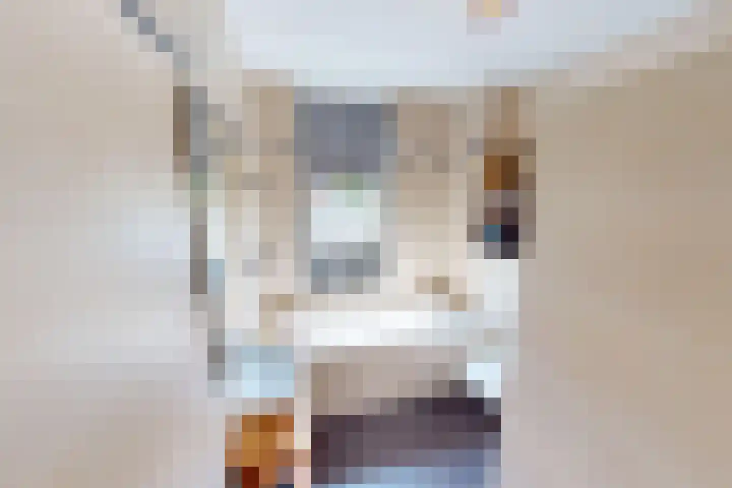 Tuinfluiter 19 Hoogkarspel thumbnail 45