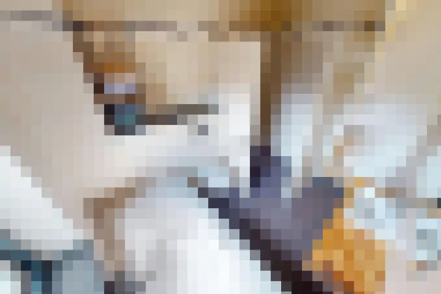 Tuinfluiter 19 Hoogkarspel thumbnail 47