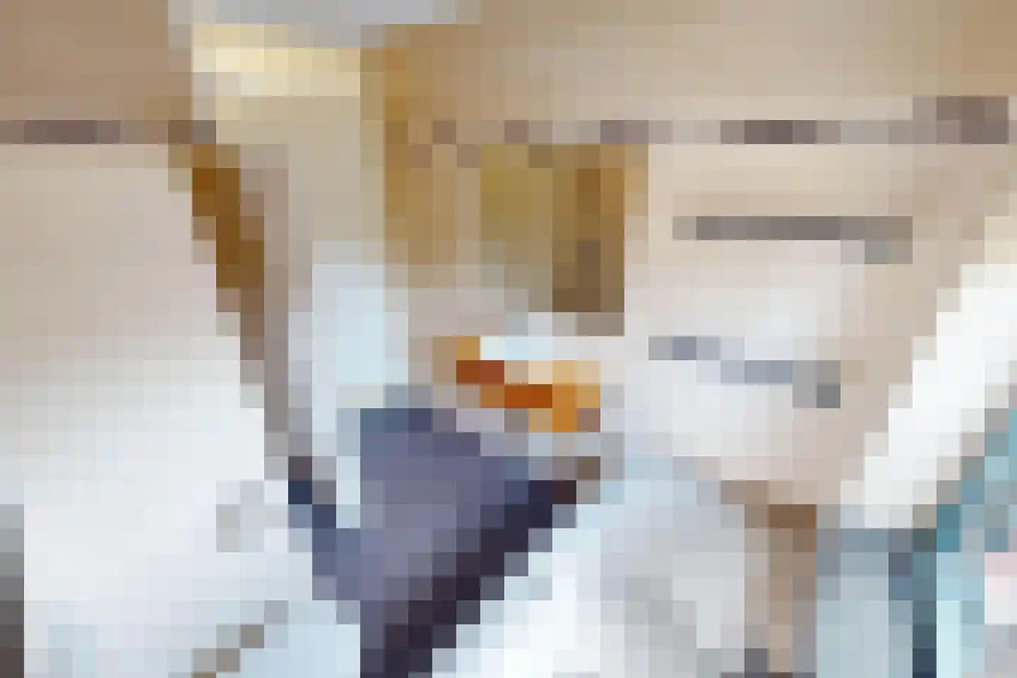 Tuinfluiter 19 Hoogkarspel thumbnail 48