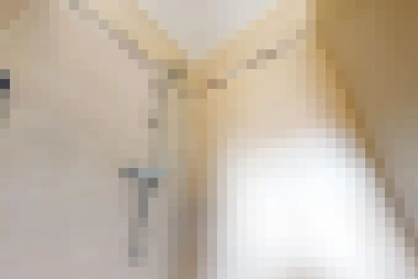 Tuinfluiter 19 Hoogkarspel thumbnail 50