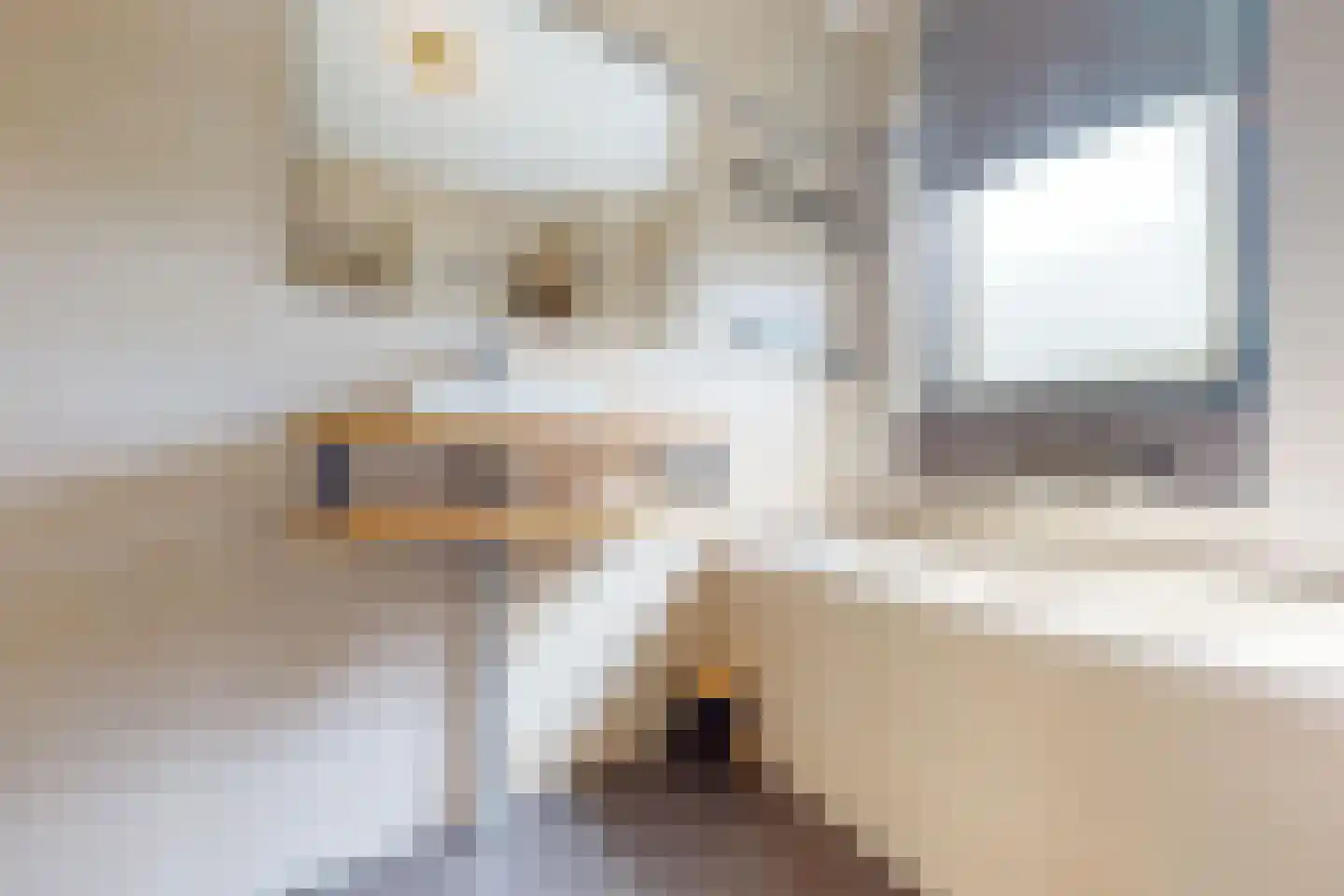 Tuinfluiter 19 Hoogkarspel thumbnail 51