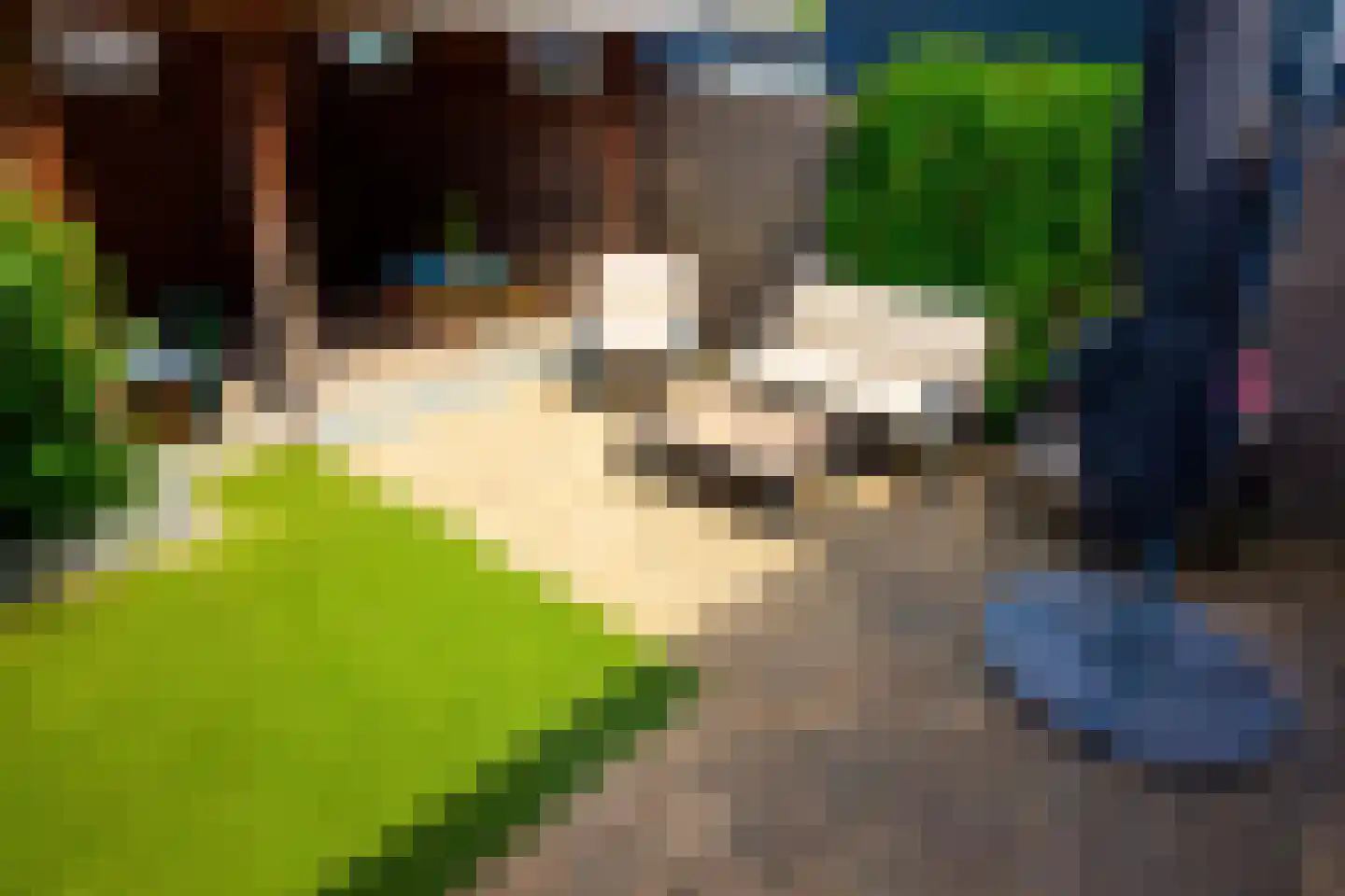 Tuinfluiter 19 Hoogkarspel thumbnail 58