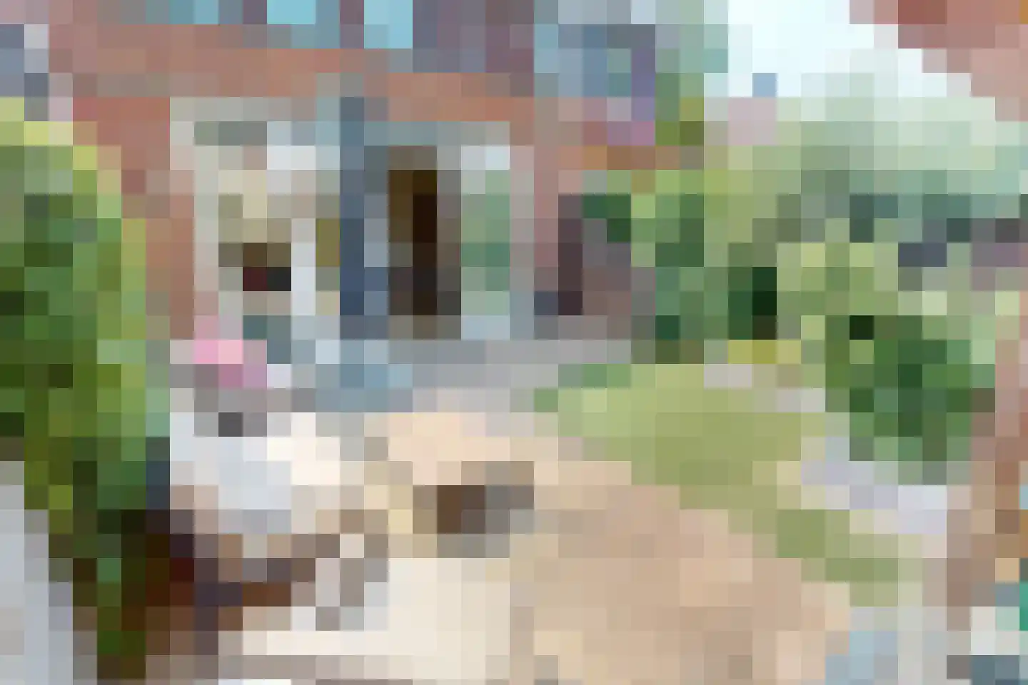 Tuinfluiter 19 Hoogkarspel thumbnail 59