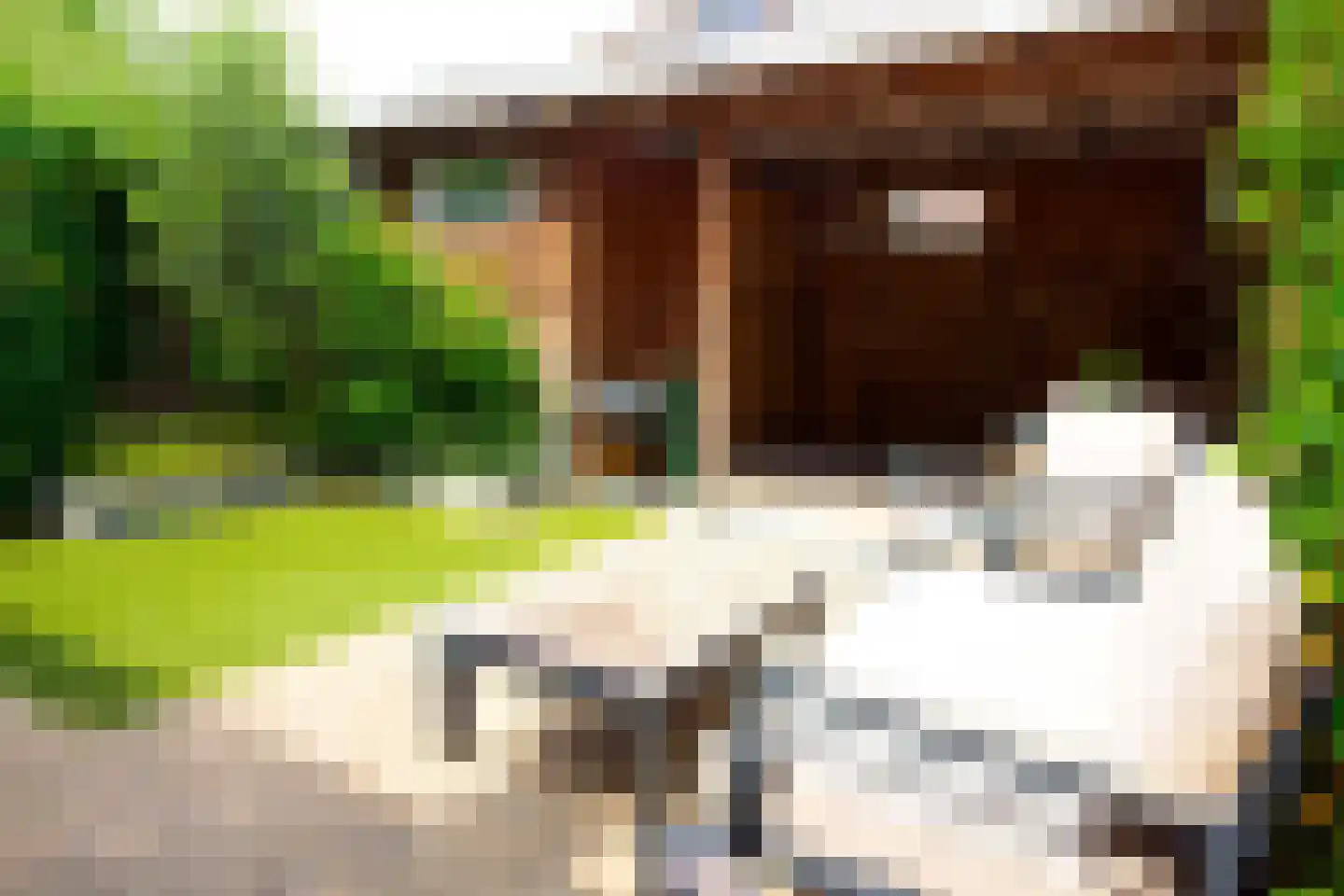 Tuinfluiter 19 Hoogkarspel thumbnail 62