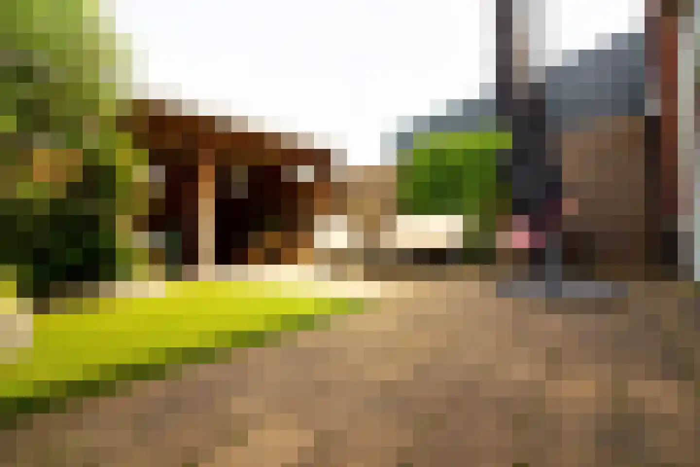 Tuinfluiter 19 Hoogkarspel thumbnail 64