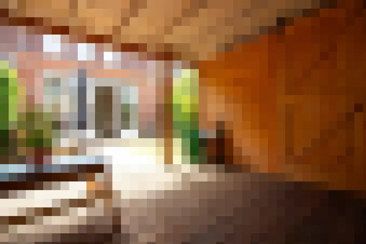 Tuinfluiter 19 Hoogkarspel thumbnail 66