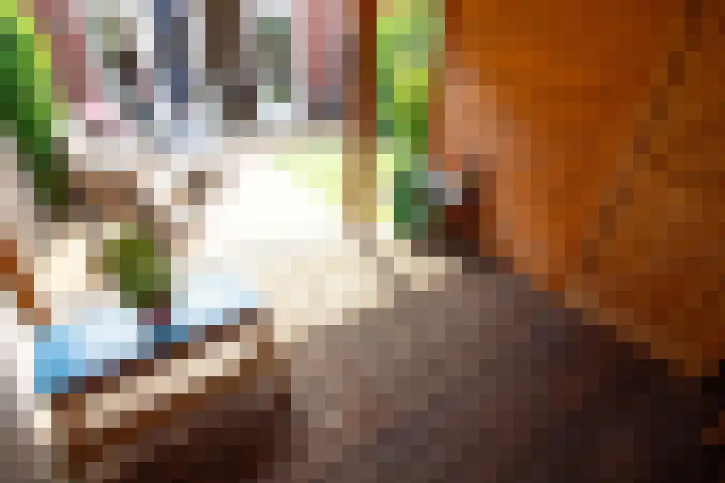 Tuinfluiter 19 Hoogkarspel thumbnail 67