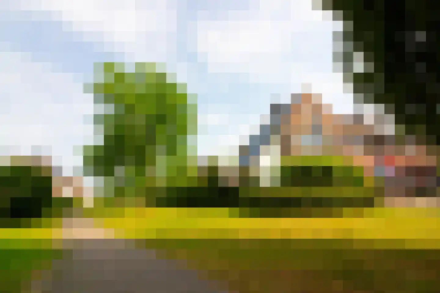 Tuinfluiter 19 Hoogkarspel thumbnail 69