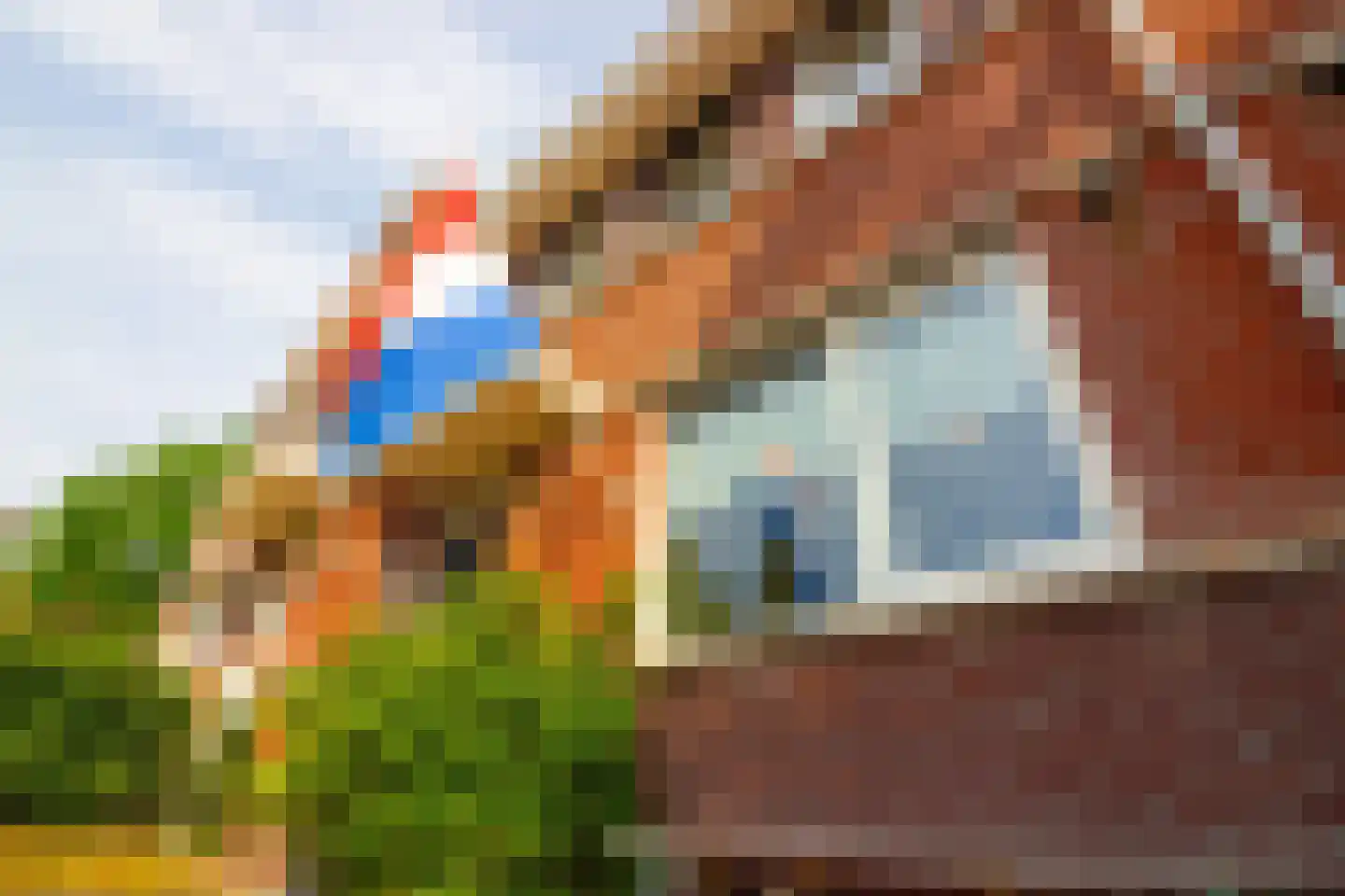 Tuinfluiter 19 Hoogkarspel thumbnail 7