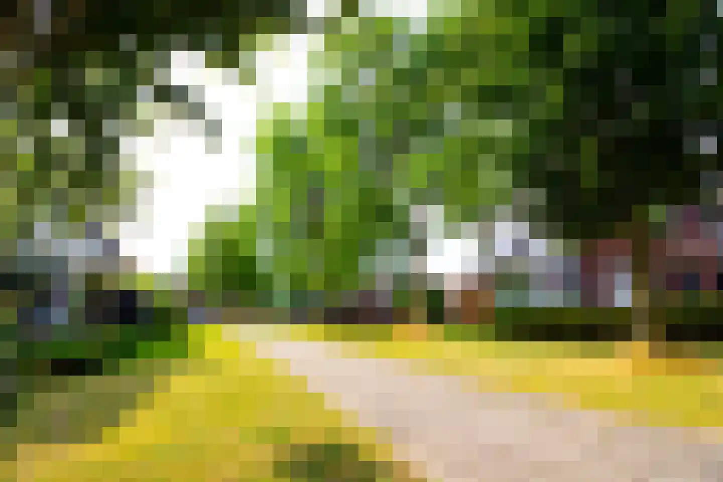 Tuinfluiter 19 Hoogkarspel thumbnail 70