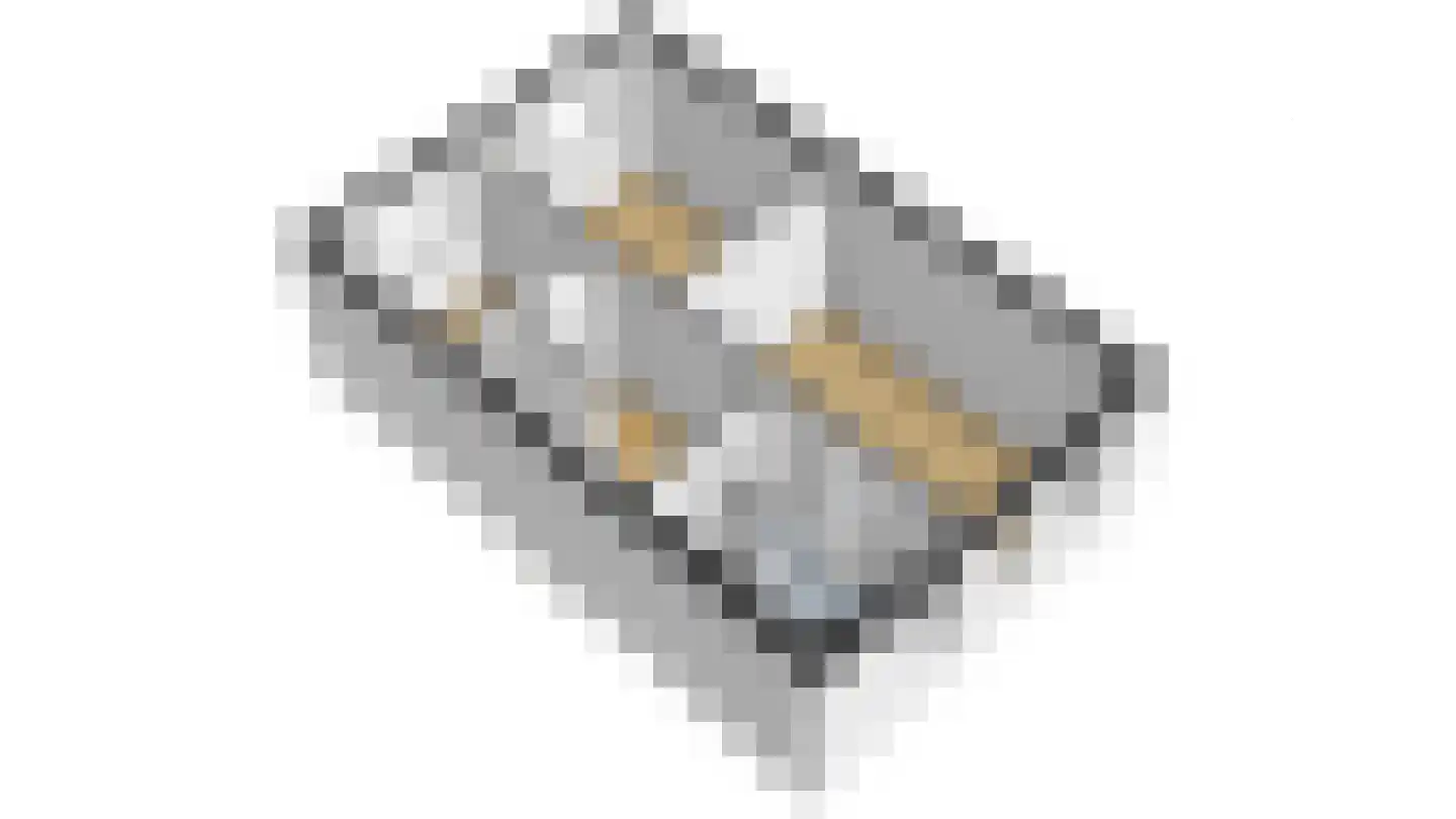 Tuinfluiter 19 Hoogkarspel thumbnail 83