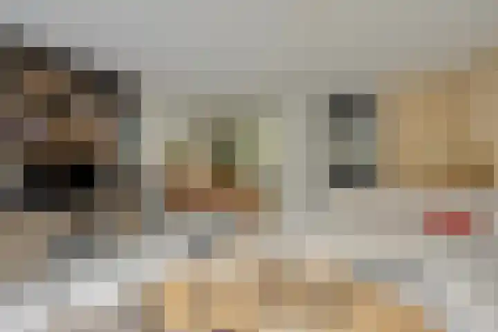 Tuinfluiter 22 Veenendaal thumbnail 11
