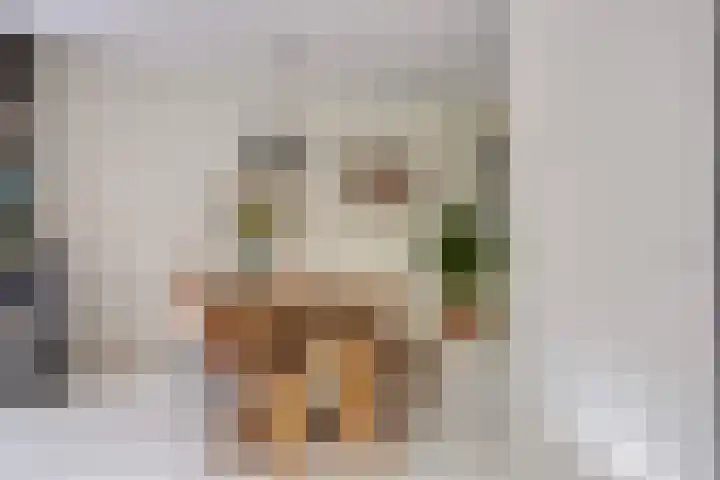 Tuinfluiter 22 Veenendaal thumbnail 12