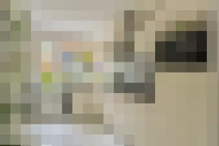 Tuinfluiter 22 Veenendaal thumbnail 13