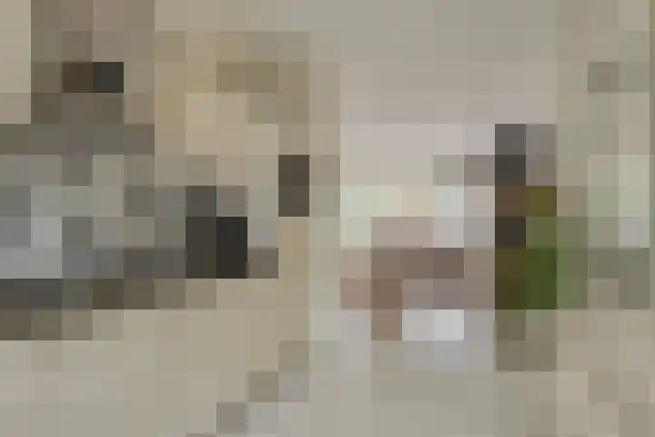 Tuinfluiter 22 Veenendaal thumbnail 14