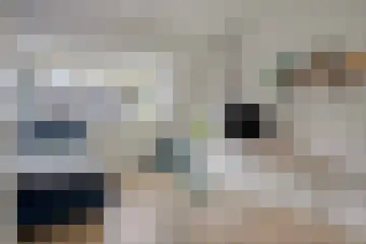 Tuinfluiter 22 Veenendaal thumbnail 15