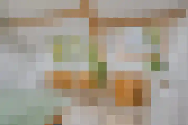 Tuinfluiter 22 Veenendaal thumbnail 21