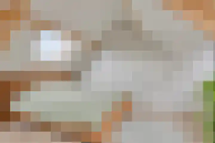 Tuinfluiter 22 Veenendaal thumbnail 22