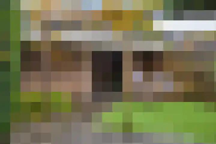 Tuinfluiter 22 Veenendaal thumbnail 24