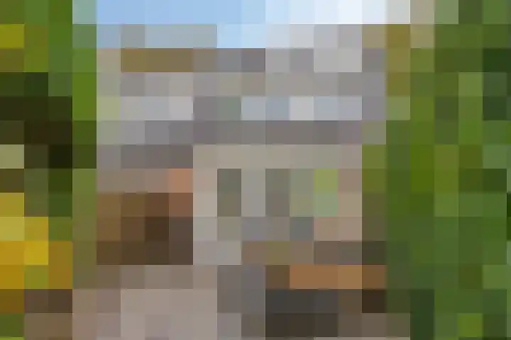 Tuinfluiter 22 Veenendaal thumbnail 25