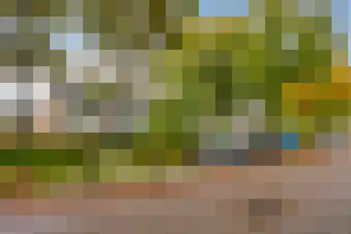 Tuinfluiter 22 Veenendaal thumbnail 26