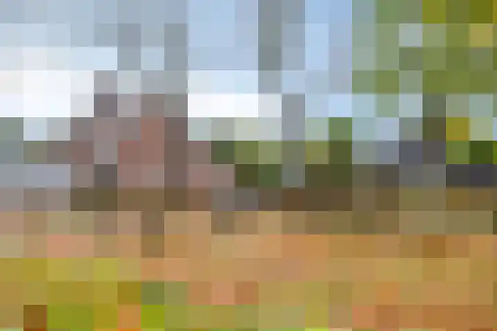 Tuinfluiter 22 Veenendaal thumbnail 27