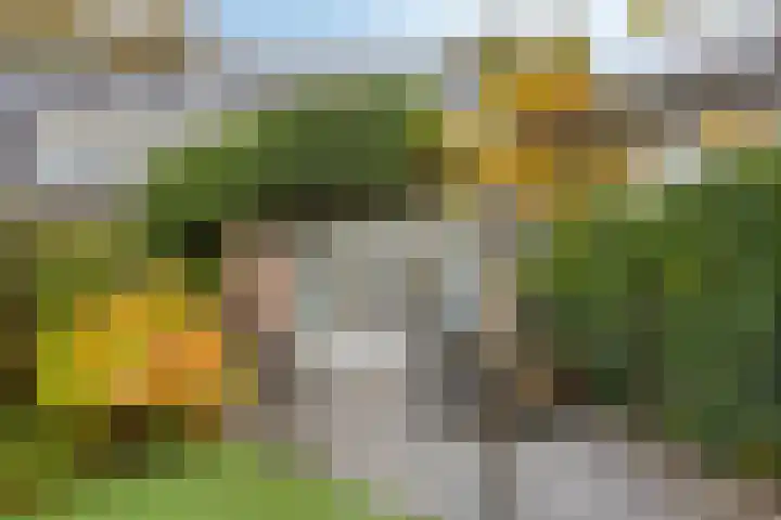 Tuinfluiter 22 Veenendaal thumbnail 4