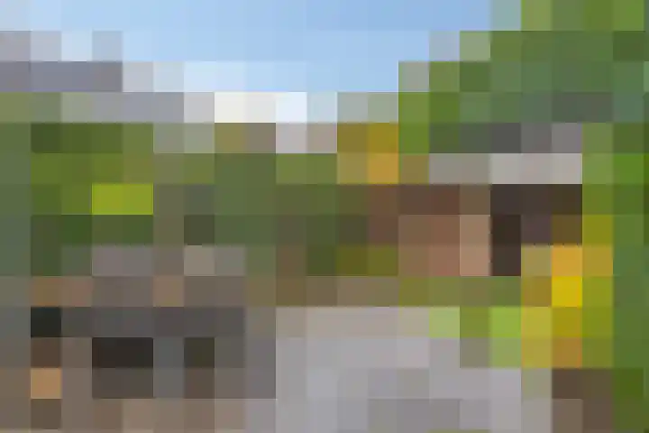Tuinfluiter 22 Veenendaal thumbnail 5