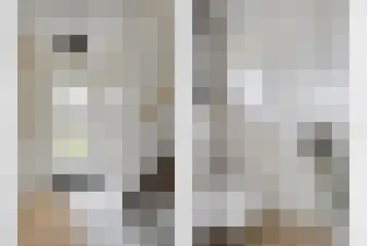 Tuinfluiter 22 Veenendaal thumbnail 8