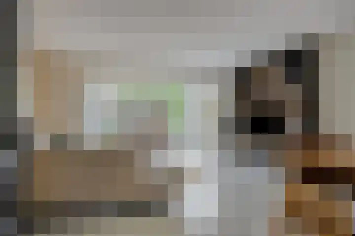Tuinfluiter 22 Veenendaal thumbnail 9