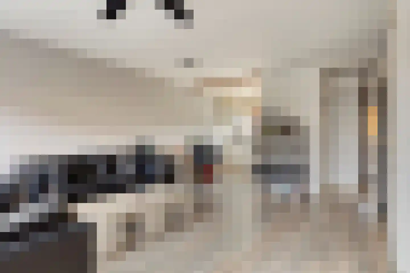Tuinfluiter 26 Sommelsdijk thumbnail 11