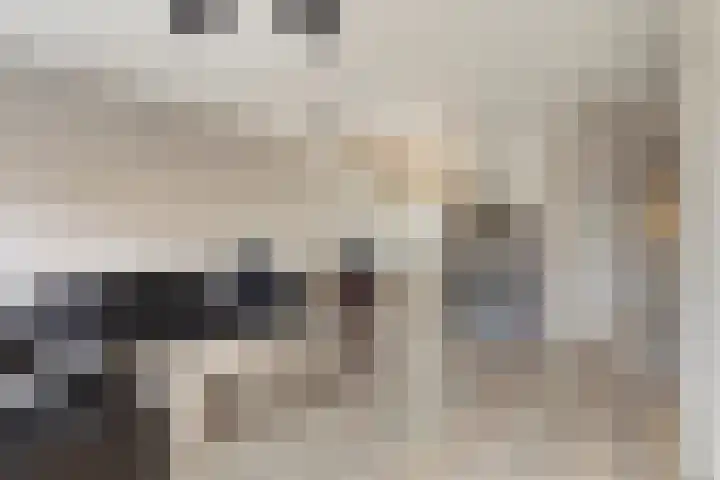 Tuinfluiter 26 Sommelsdijk thumbnail 11