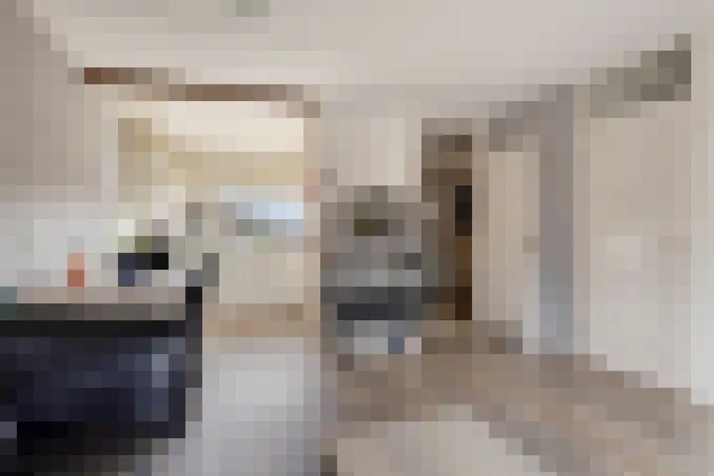 Tuinfluiter 26 Sommelsdijk thumbnail 12