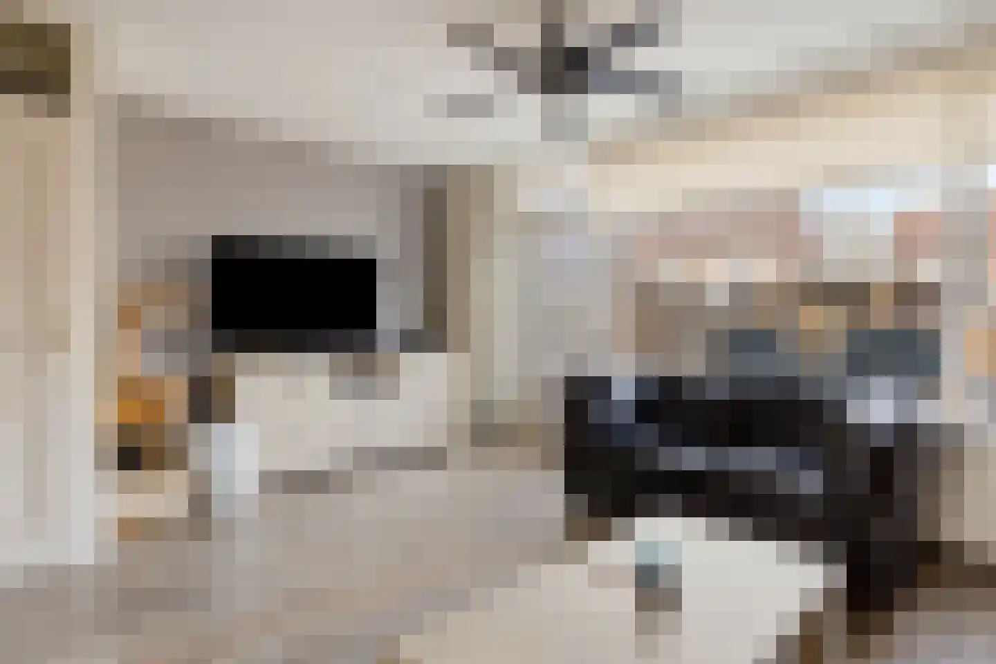 Tuinfluiter 26 Sommelsdijk thumbnail 13