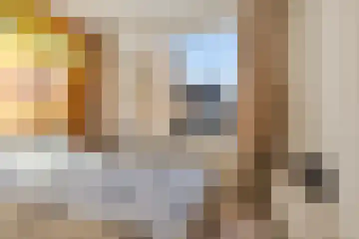 Tuinfluiter 26 Sommelsdijk thumbnail 16