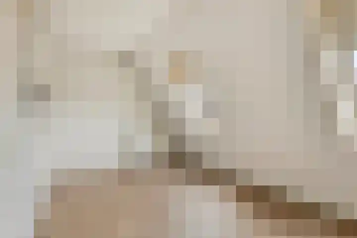 Tuinfluiter 26 Sommelsdijk thumbnail 21