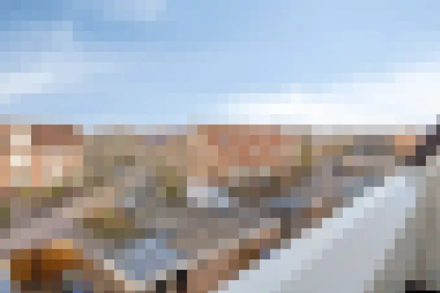 Tuinfluiter 26 Sommelsdijk thumbnail 29