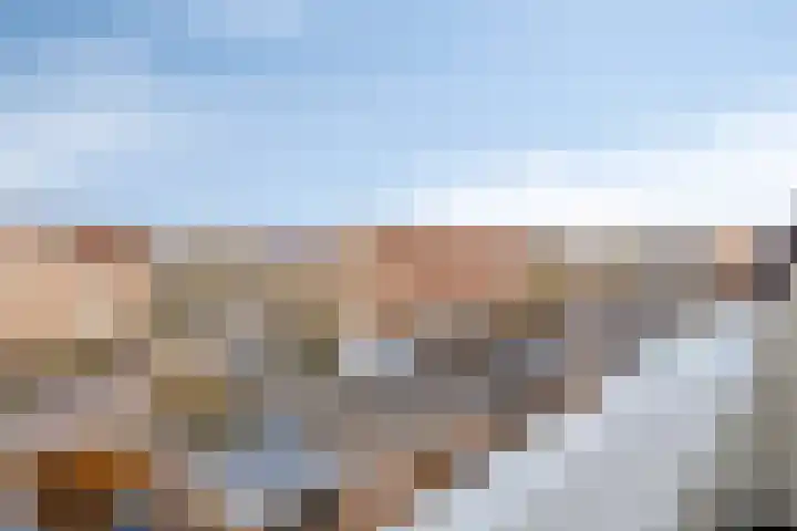 Tuinfluiter 26 Sommelsdijk thumbnail 29
