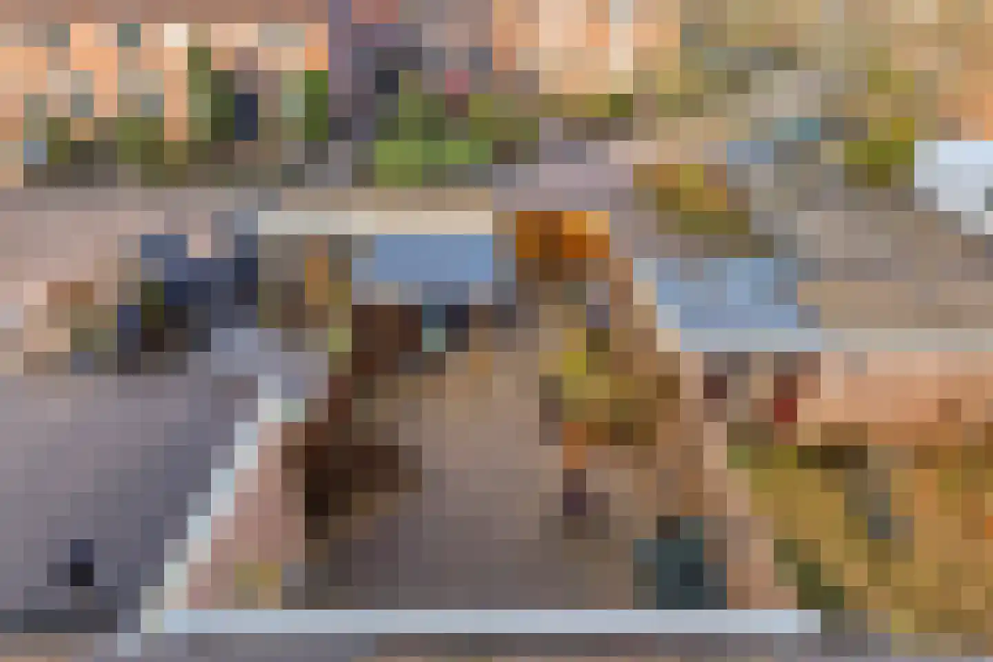 Tuinfluiter 26 Sommelsdijk thumbnail 31