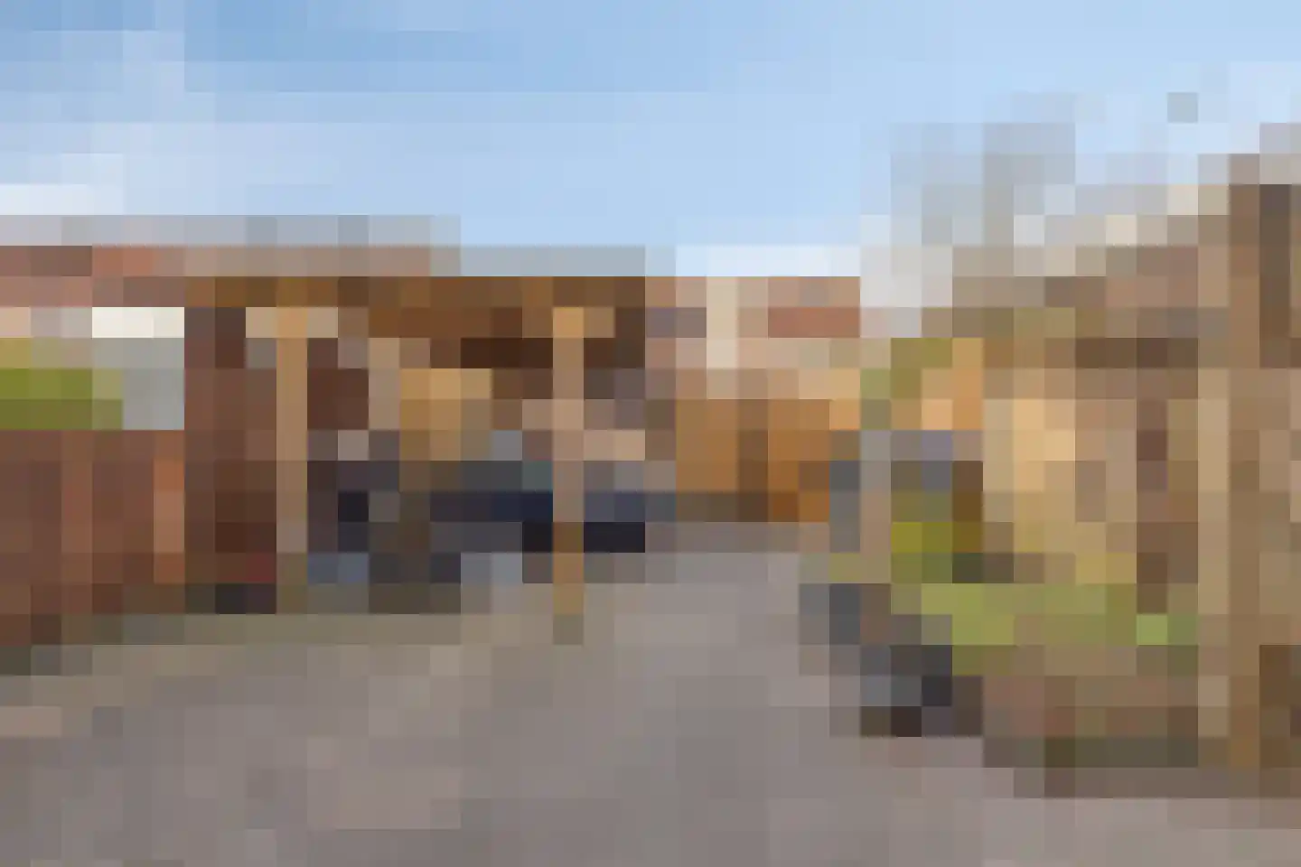 Tuinfluiter 26 Sommelsdijk thumbnail 33