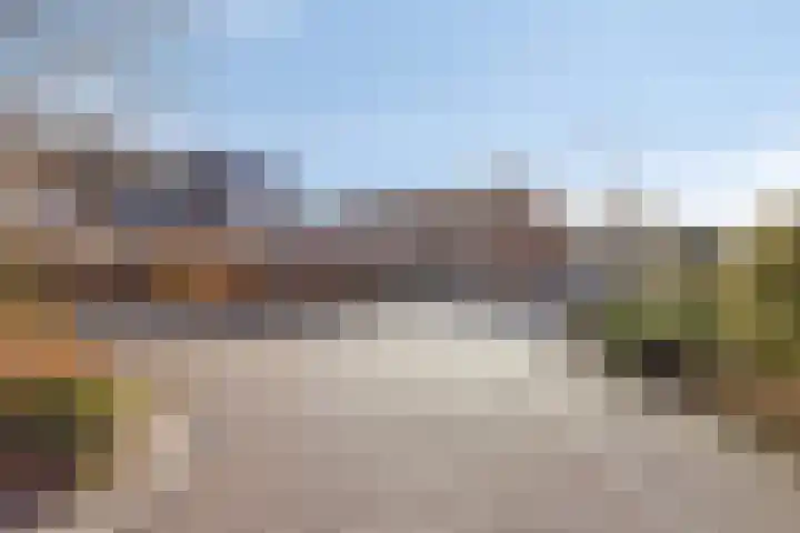 Tuinfluiter 26 Sommelsdijk thumbnail 35