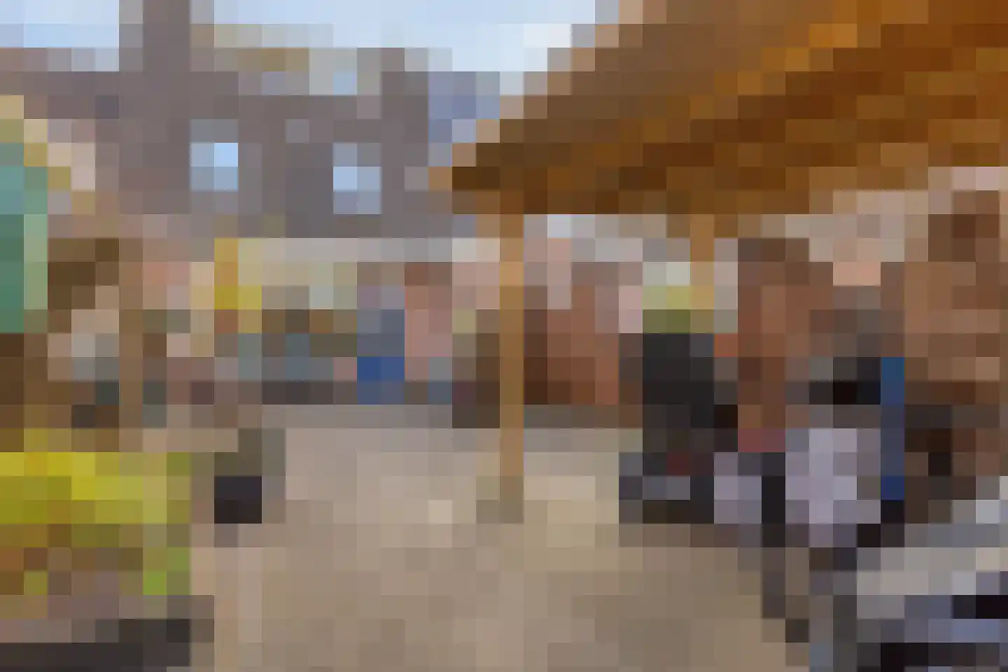 Tuinfluiter 26 Sommelsdijk thumbnail 4