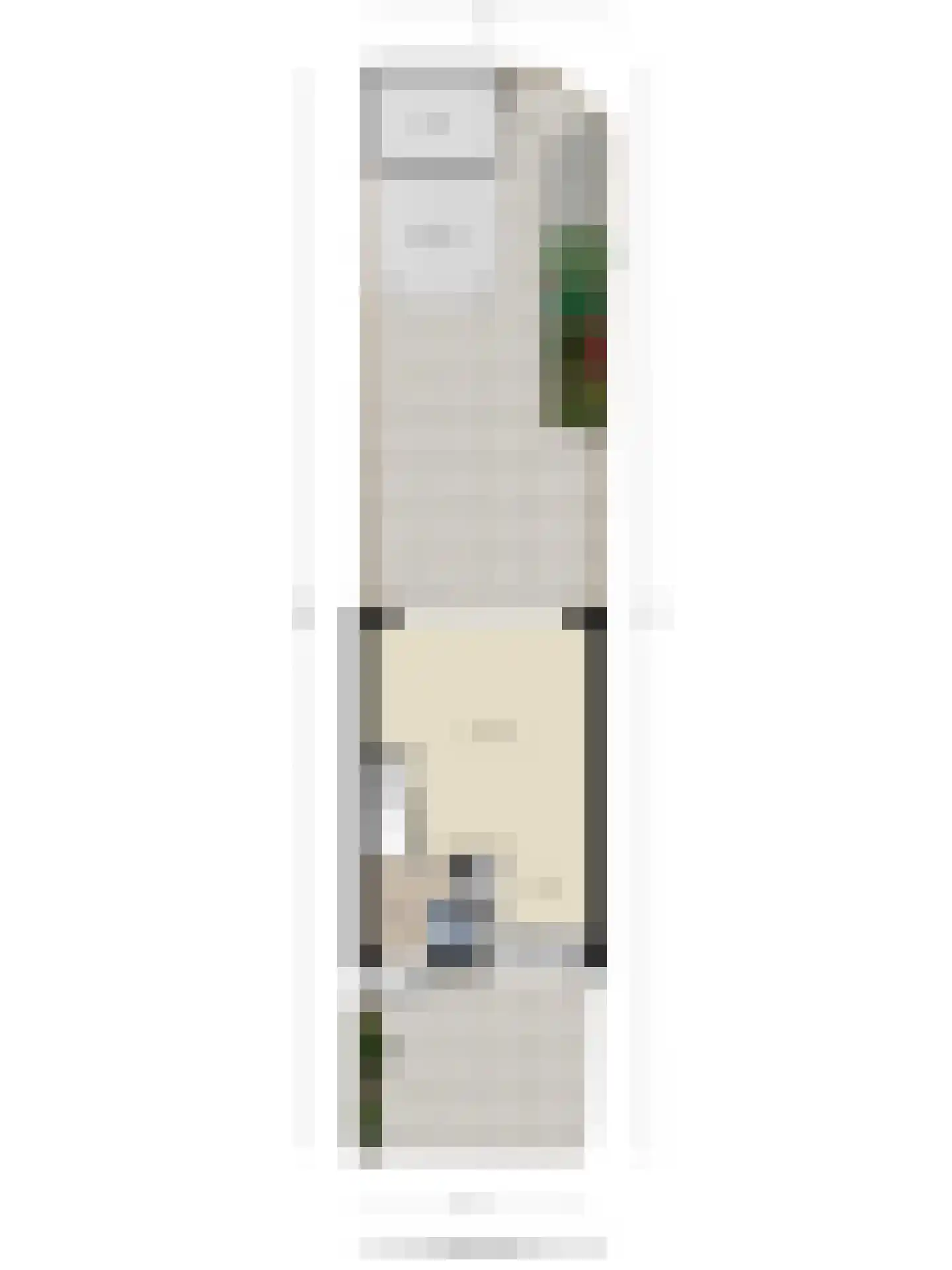 Tuinfluiter 26 Sommelsdijk thumbnail 42