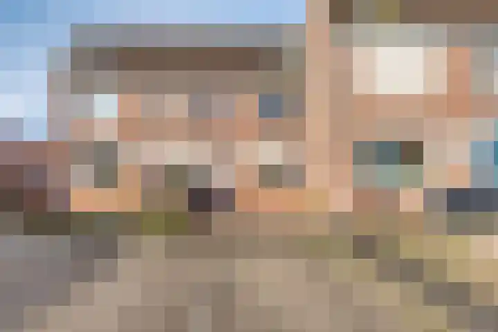 Tuinfluiter 26 Sommelsdijk thumbnail 5