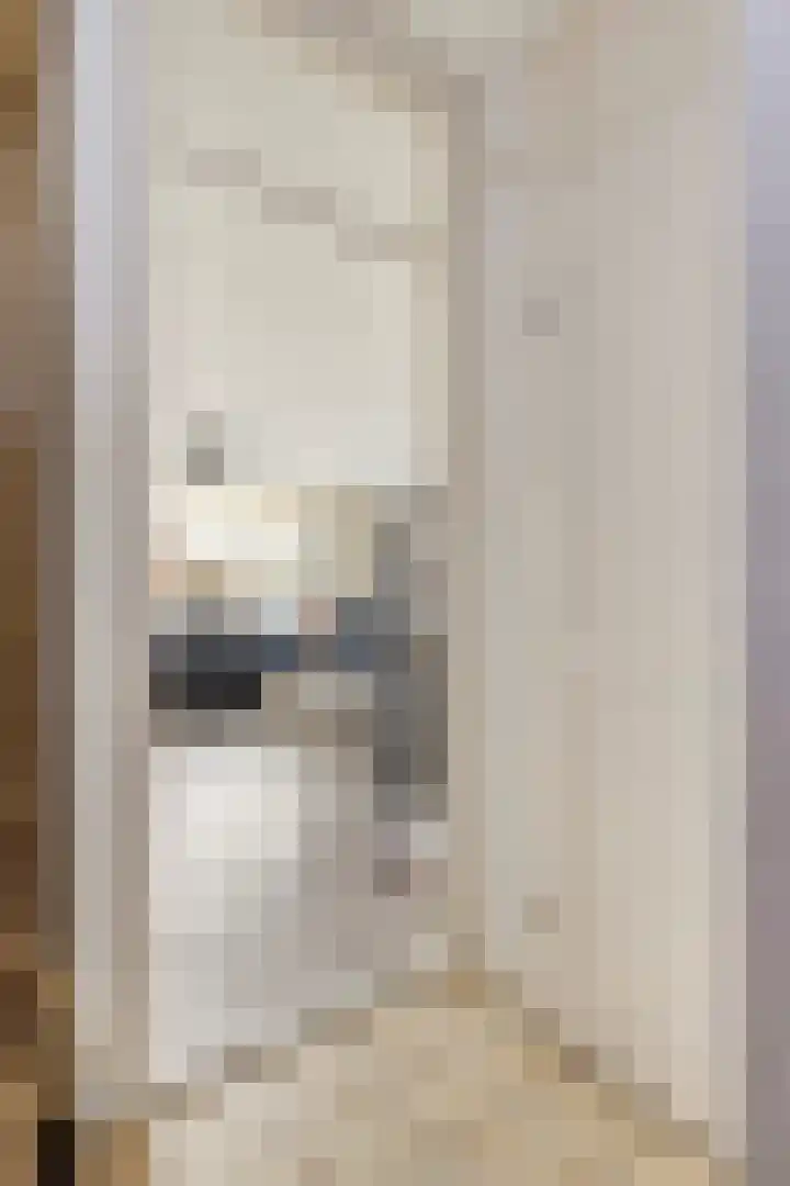 Tuinfluiter 26 Sommelsdijk thumbnail 7