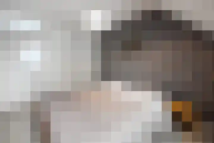 Tuinfluiter 27 Raalte thumbnail 15