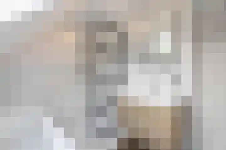Tuinfluiter 27 Raalte thumbnail 20