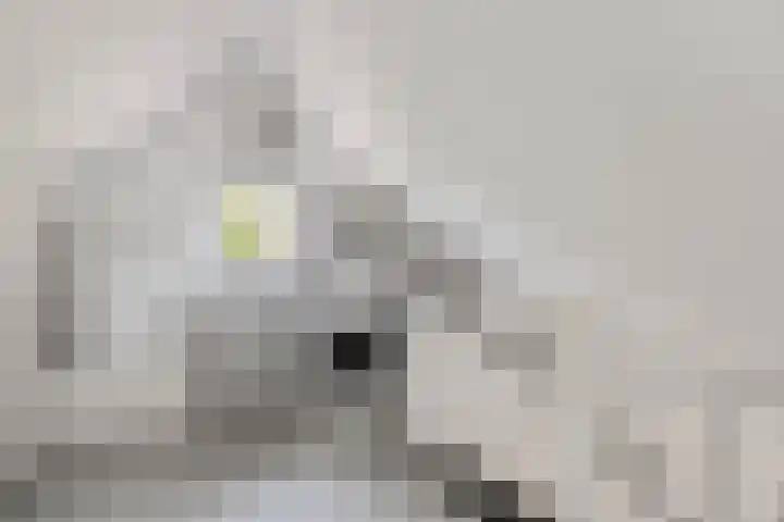 Tuinfluiter 27 Raalte thumbnail 22