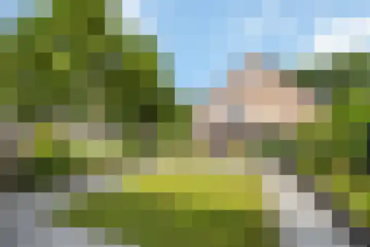 Tuinfluiter 27 Raalte thumbnail 24